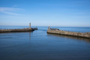 8-View from Sitting Room